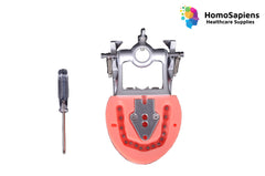 Articulator for GDC Jaw set