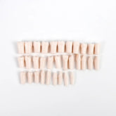 Typodont teeth for Nissin 200 Jawset