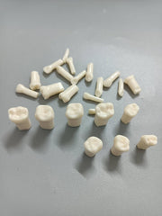 Sapien Pedo Jaw Set (Child)