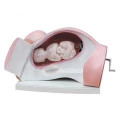 Leopold Manuvers Simulator - HomoSapiens