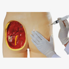 Intramuscular Injection Training Simulator Manikin (Life-Size)