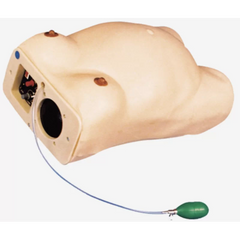 Maternity Examination Simulator (Premium Quality)