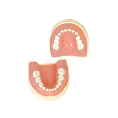 Sapien Pedo Jaw Set (Child)