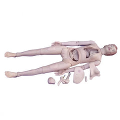 High Quality Nurse Training Doll (Female)