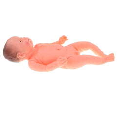 New Born Baby Nursing Model For Nursing Training