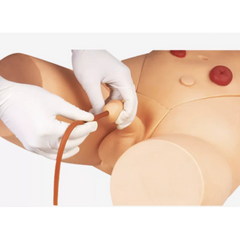 Catheterization Training Simulator(Male)