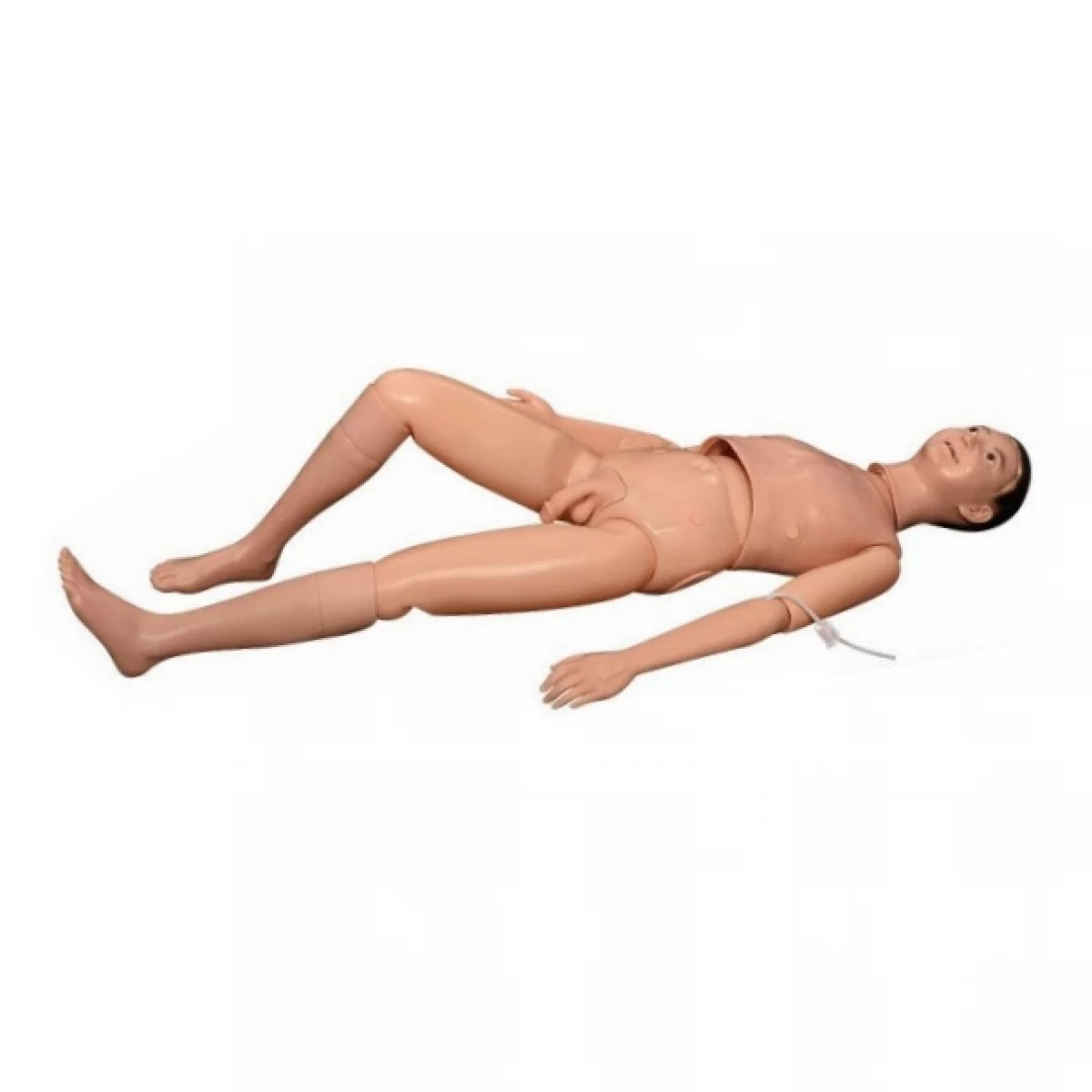 Patient Care and Nursing Manikin (Male) - Multi-functional