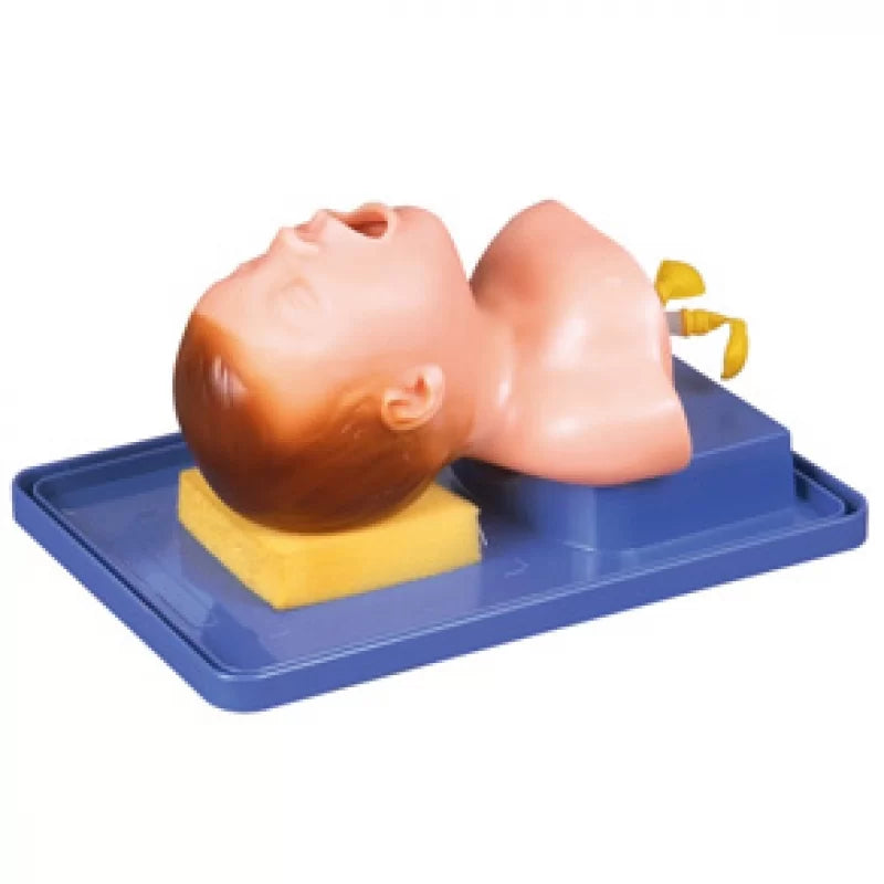 Neonate Kapi Neonate Intubation Training Model – HomoSapiens