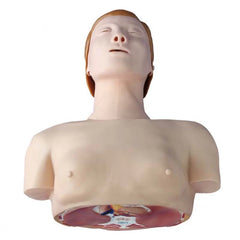 Basic CPR Training Model (Half Body)