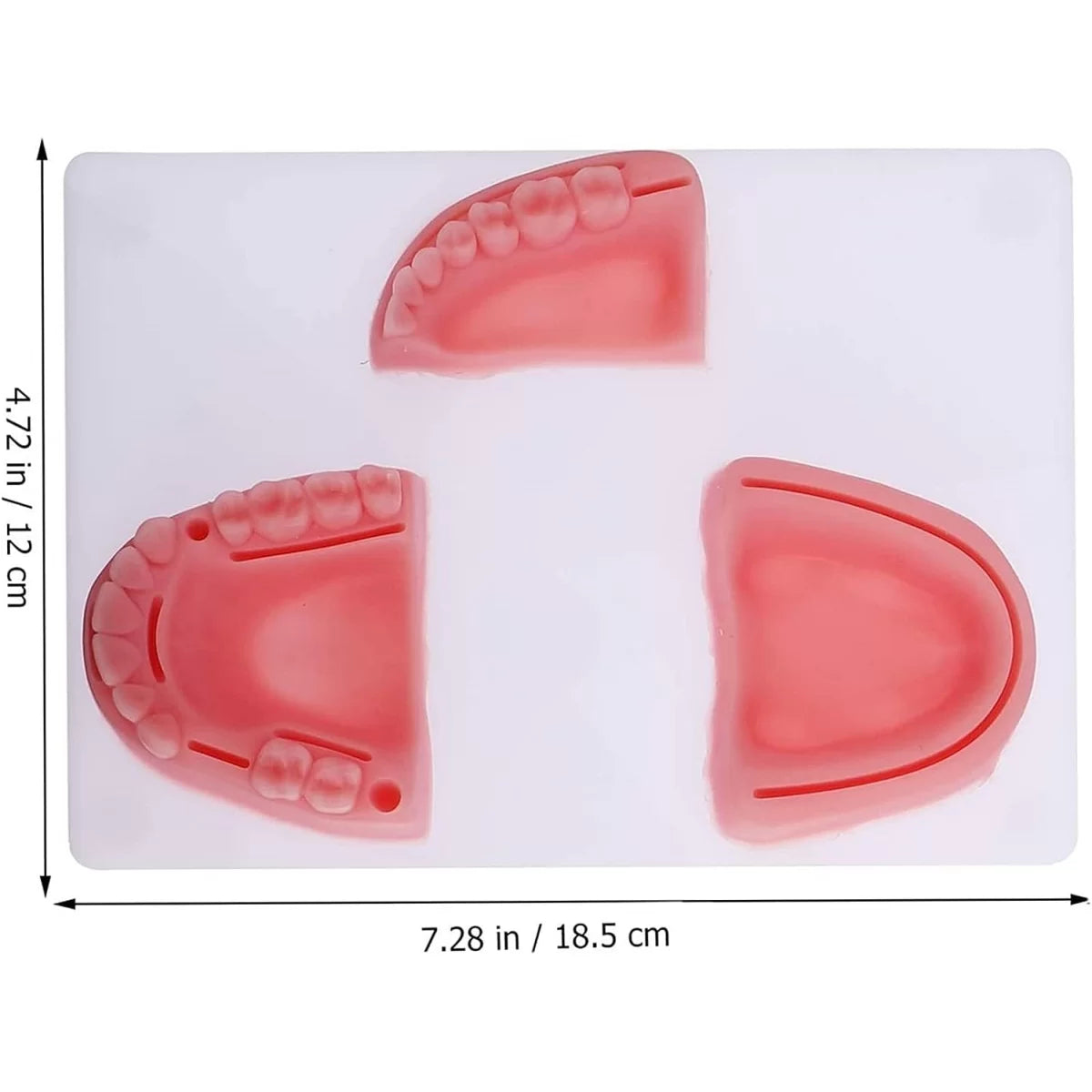 Dental Suture Pad (Premium Quality)