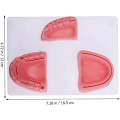 Dental Suture Pad (Premium Quality)