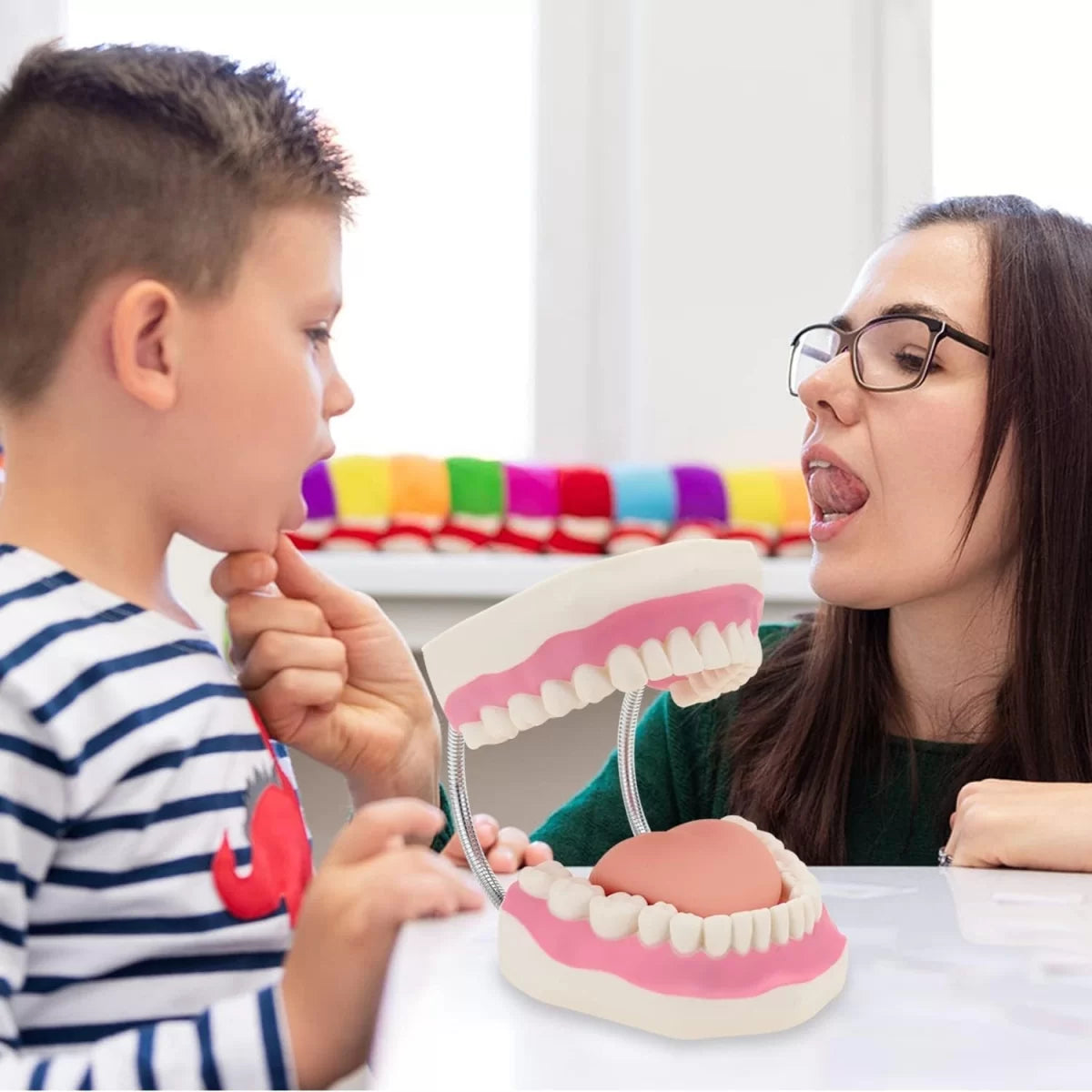 Dental Model With Soft Tongue (Giant)