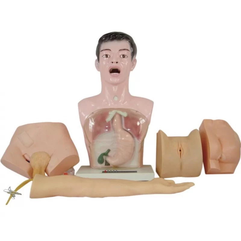 Nurse Basic Practice Training Model