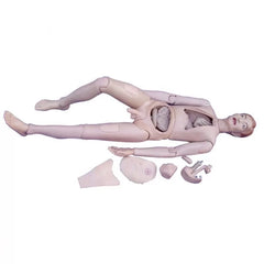 Nurse Training Doll (Male)